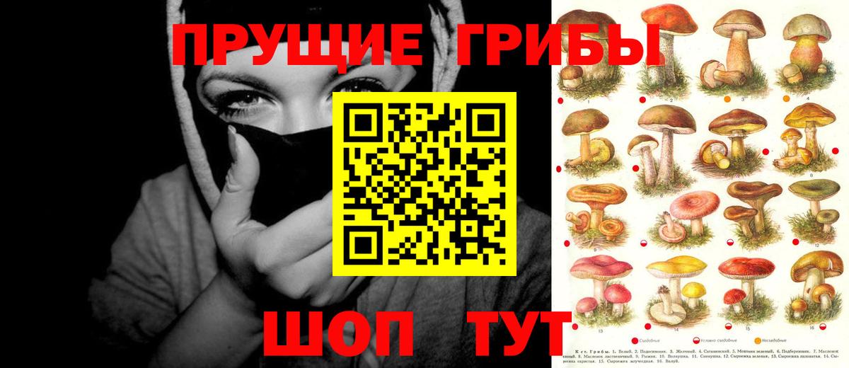 Псилоцибиновые грибы MAGIC MUSHROOMS Дербент