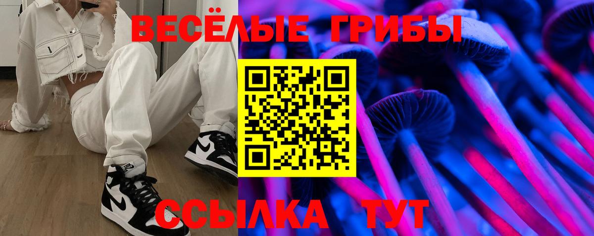 Галлюциногенные грибы MAGIC MUSHROOMS  Вход с VPN  Дербент 